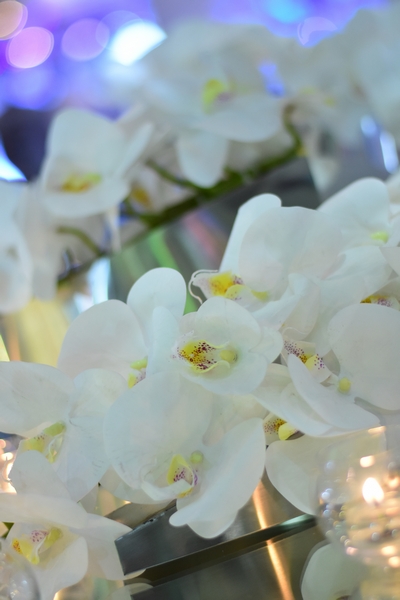 Flower Concept at the Royal Wedding Fair 